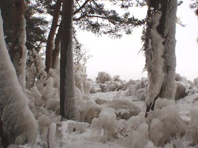しぶき氷 2015-1-15_a0096989_18435870.jpg