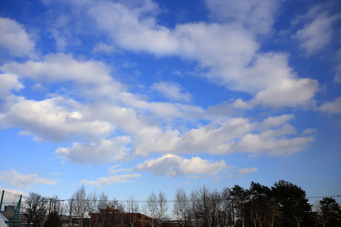 f0001895_17363911.jpg
