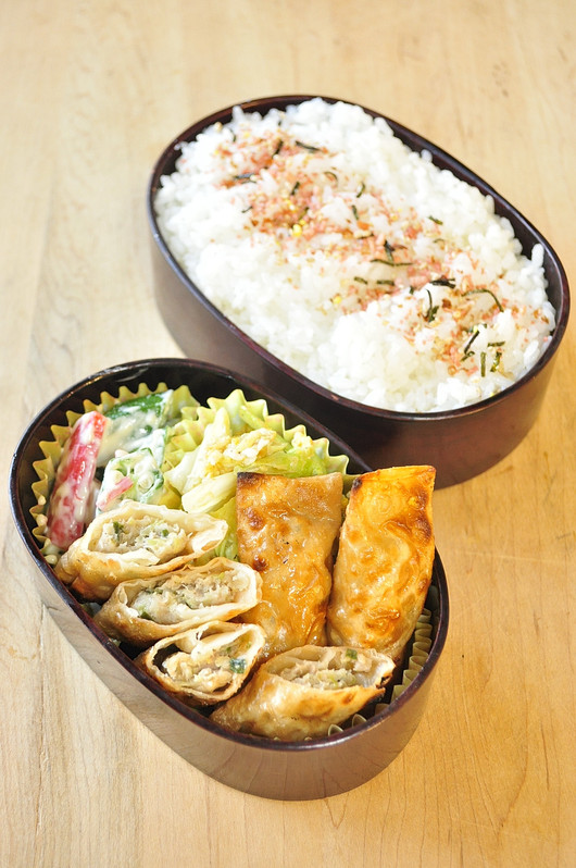 ミニ春巻き弁当_b0171098_814478.jpg