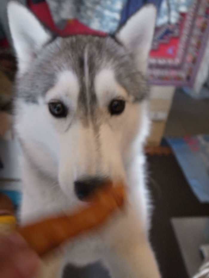 いただきっ! (≧∇≦)_c0049299_20132065.jpg