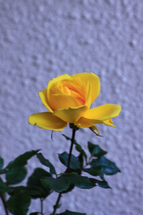 d0248502_2211273.jpg