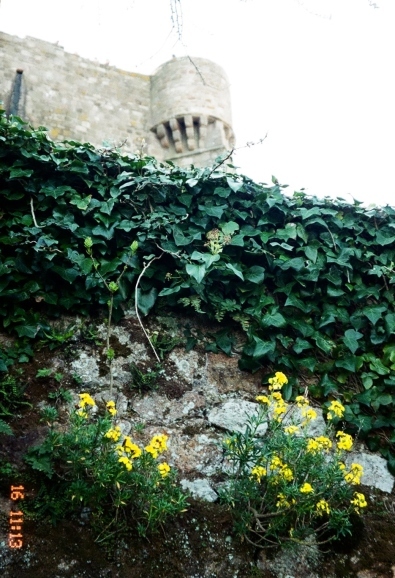 語学学校の遠足 (ﾓﾝ･ｻﾝ=ﾐｼｪﾙ)(Mont Saint-Michel：Excursion de Af）_c0345705_14560414.jpg