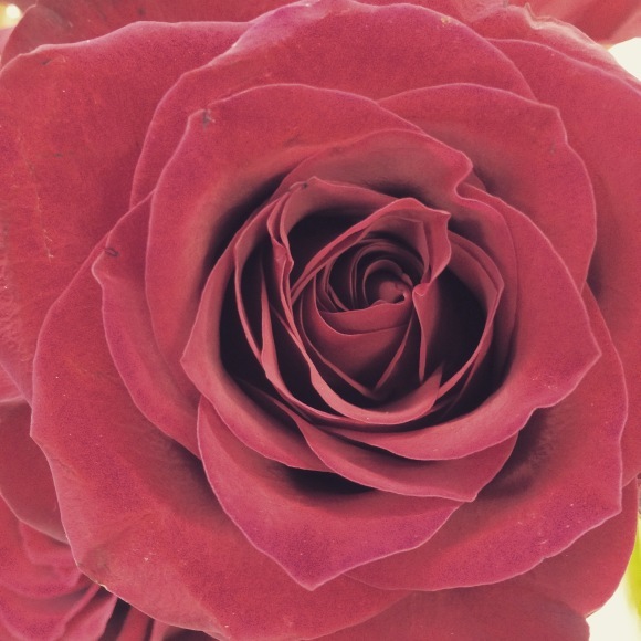 a0088007_16481211.jpg
