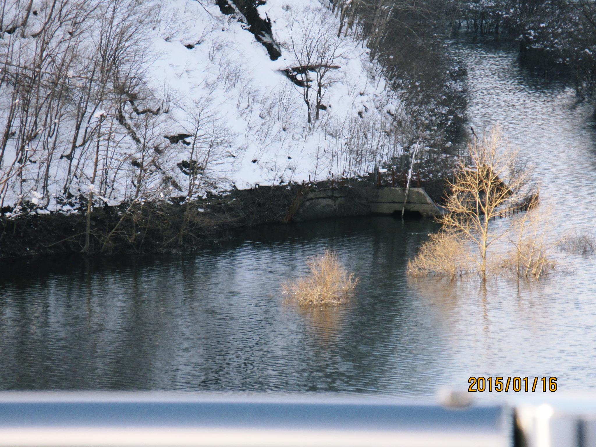 d0119909_14491772.jpg