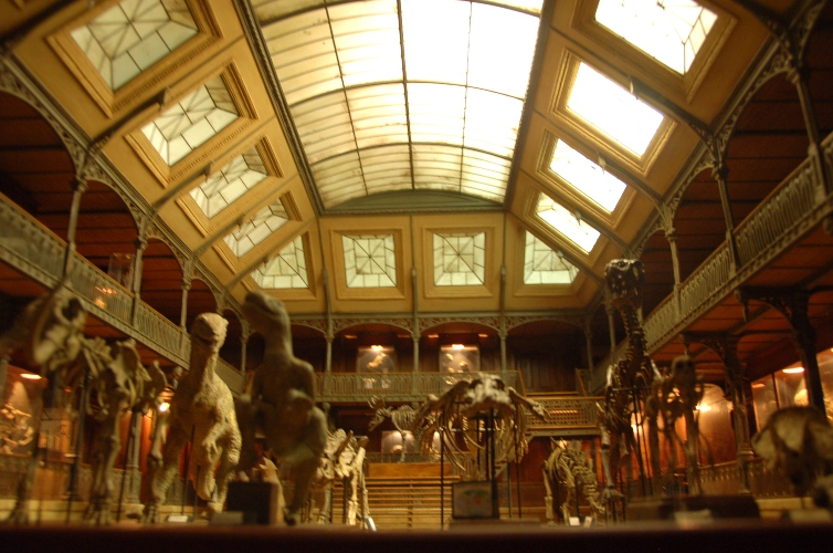 e0082110_1615552.jpg