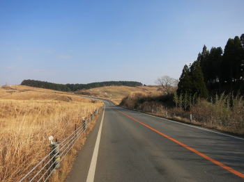 d0027711_140455.jpg