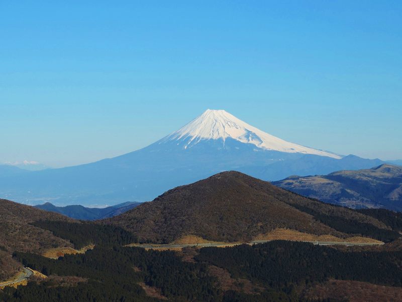 f0182513_06289.jpg