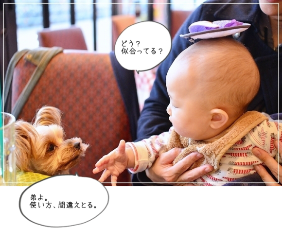 d0179828_11535763.png
