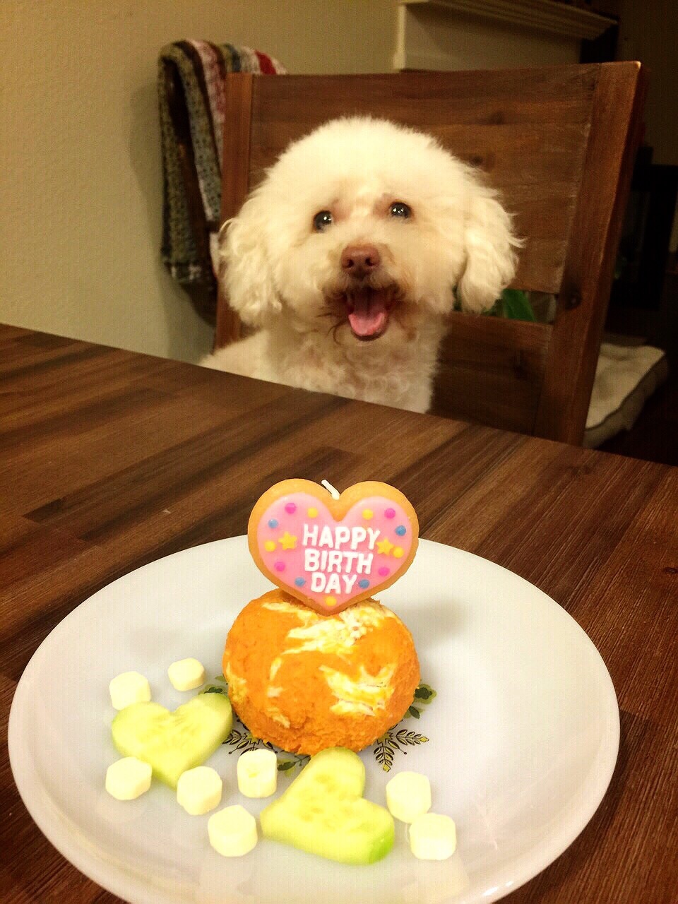 Happy Birthday Dear Anzu♡_f0162440_17522409.jpg