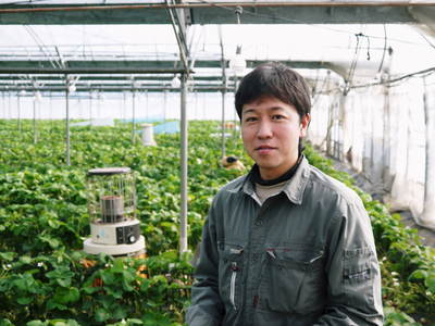 熊本イチゴ『さがほのか』 1番花から2番花へ!今年もスムーズな移行ができました_a0254656_18122612.jpg