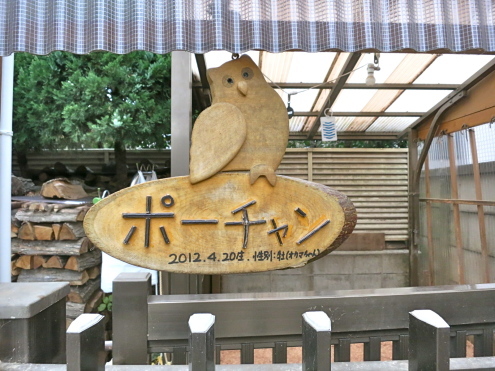 ポーちゃんのお部屋訪問_c0260460_14410208.jpg