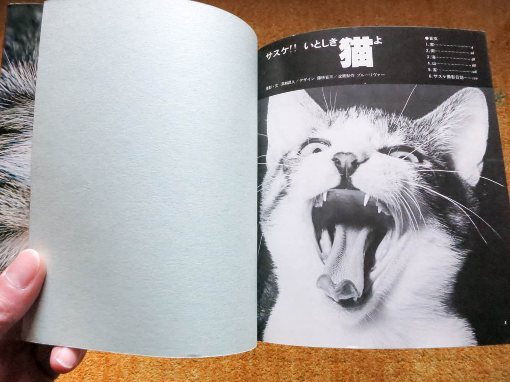 深瀬昌久 Masahisa Fukase 「サスケ!! いとしき猫よ Sasuke