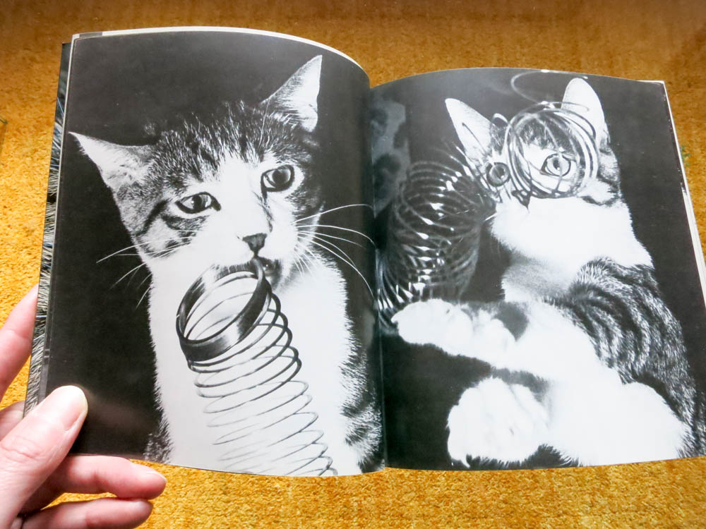 深瀬昌久 Masahisa Fukase 「サスケ!! いとしき猫よ Sasuke 深瀬昌久 Masahisa Fukase 「サスケ!! いとしき猫よ Sasuke