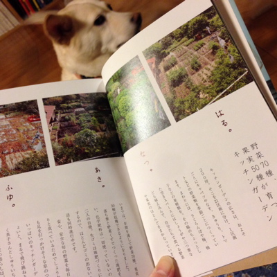 あしたも、こはるびより。_f0232994_10253615.jpg
