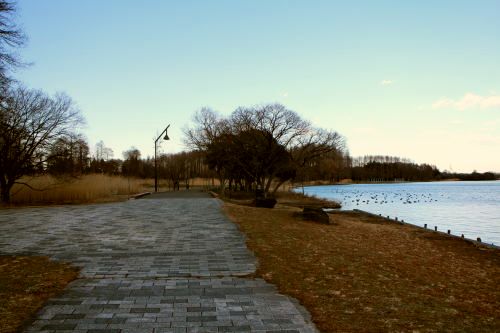 c0090198_20211348.jpg