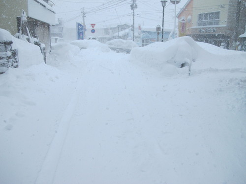 吹雪の中、朝の散歩　１月１８日_c0075701_10413265.jpg