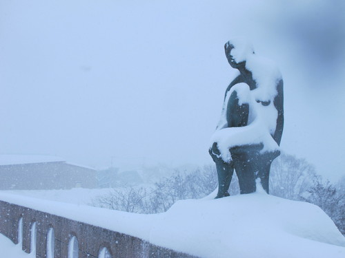 吹雪の中、朝の散歩　１月１８日・・・７_c0075701_11543312.jpg