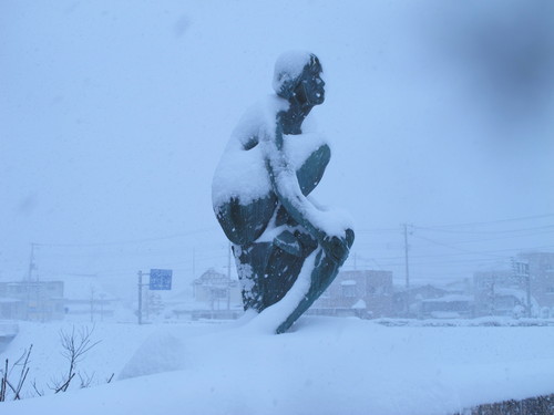 吹雪の中、朝の散歩　１月１８日・・・７_c0075701_11543953.jpg