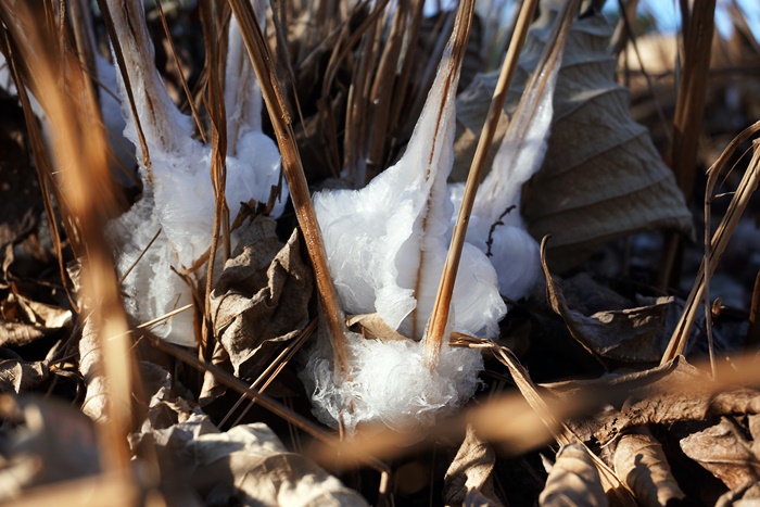 c0187503_1234469.jpg