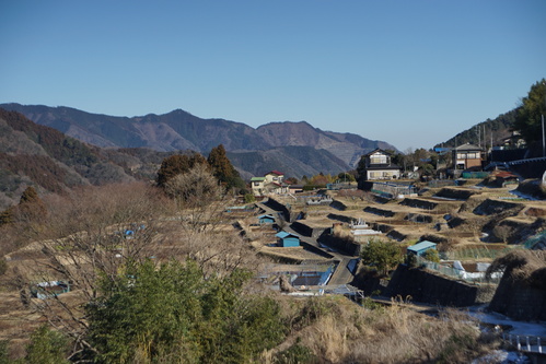 d0147406_20154754.jpg
