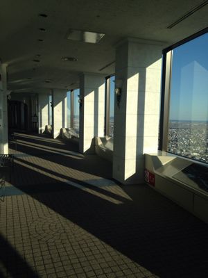 a0206808_2024136.jpg