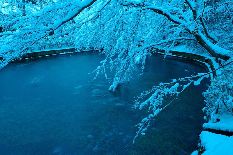 2015京の雪景色@清水寺_f0032011_18283715.jpg