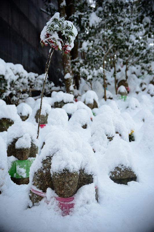 2015京の雪景色@清水寺_f0032011_18284733.jpg