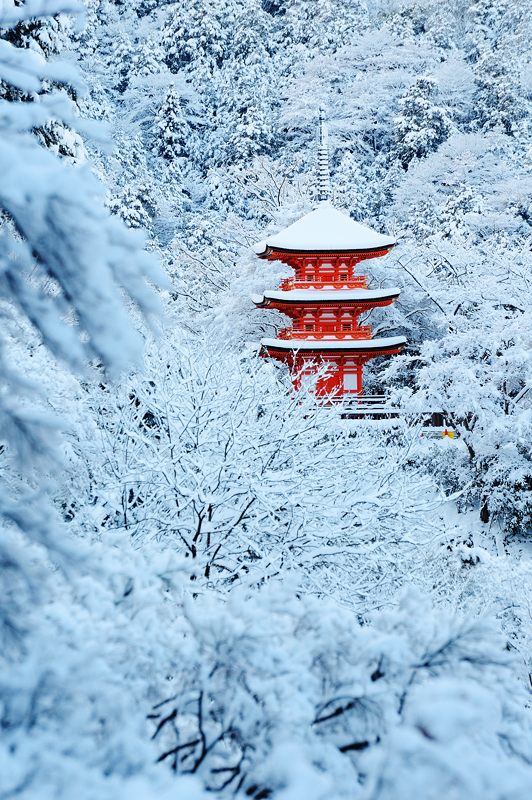 2015京の雪景色@清水寺_f0032011_1828497.jpg
