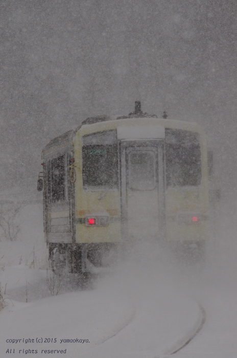 降り続く雪を巻き上げて_d0309612_21381818.jpg