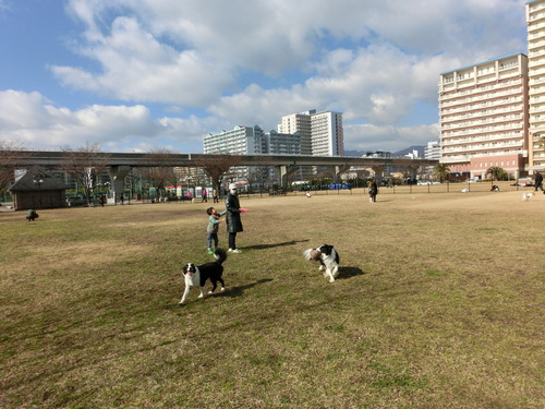 e0179321_18252597.jpg