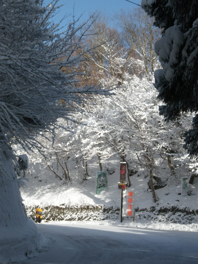 c0189724_12502695.jpg
