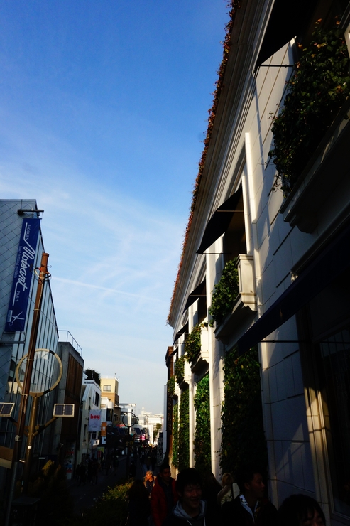 a0287336_16492825.jpg