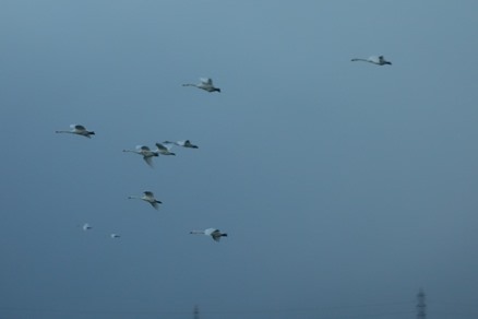 b0169238_221816.jpg