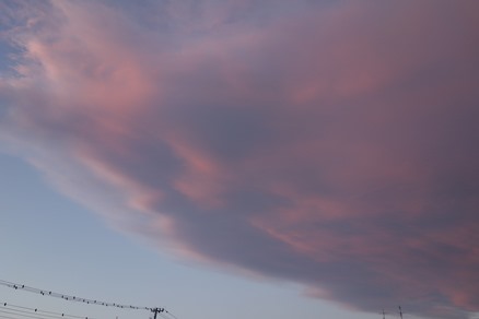 b0169238_2218341.jpg