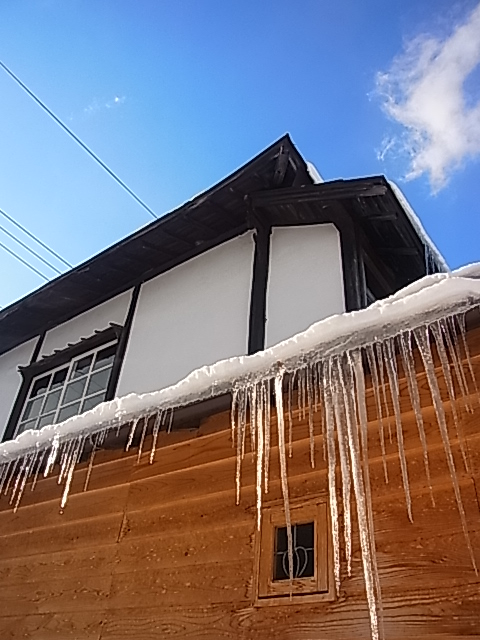 雪なのに、、、。_b0207642_13394043.jpg