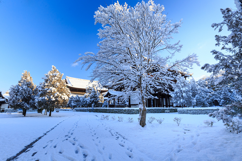 絶景・通天橋／開山堂の雪景色（東福寺）_f0155048_19432711.jpg