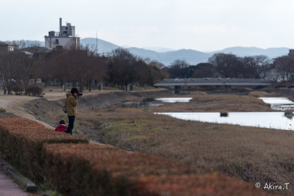 賀茂川スナップ 〜1〜_f0152550_18233528.jpg