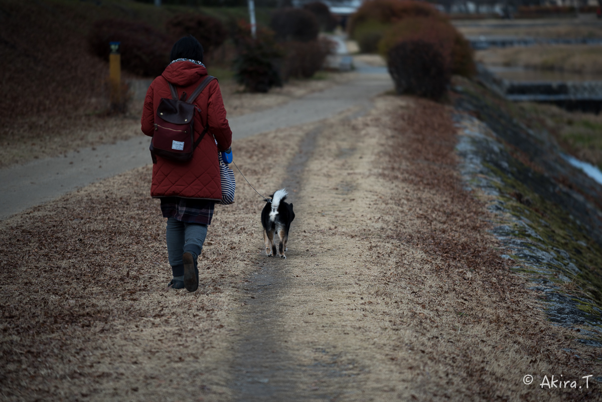 賀茂川スナップ 〜1〜_f0152550_1825515.jpg