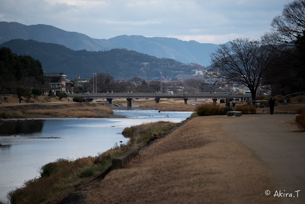 賀茂川スナップ 〜1〜_f0152550_18301057.jpg