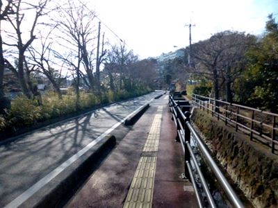 b0220251_60487.jpg