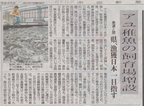 再び「長良川」-その1-_f0197754_0505279.jpg