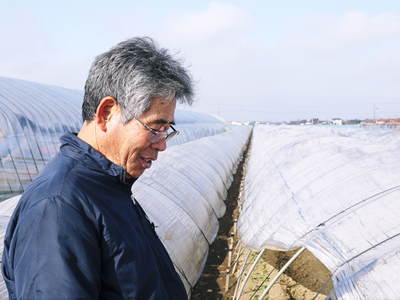 有機栽培キャベツ 牛島さんちの有機栽培こだわりキャベツ大好評発売中!現地取材でビックリ!!_a0254656_826660.jpg