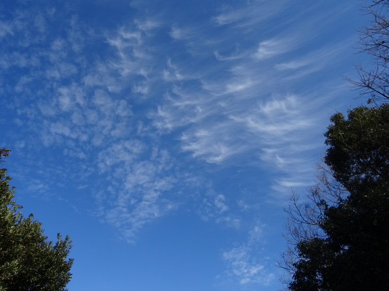 c0108460_18162411.jpg
