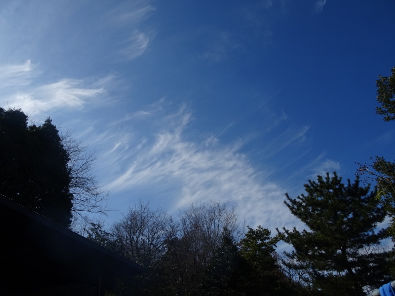 c0108460_18162826.jpg