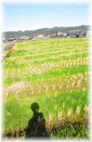 やっぱり・・・良いなぁ~♪_d0175974_19543413.jpg