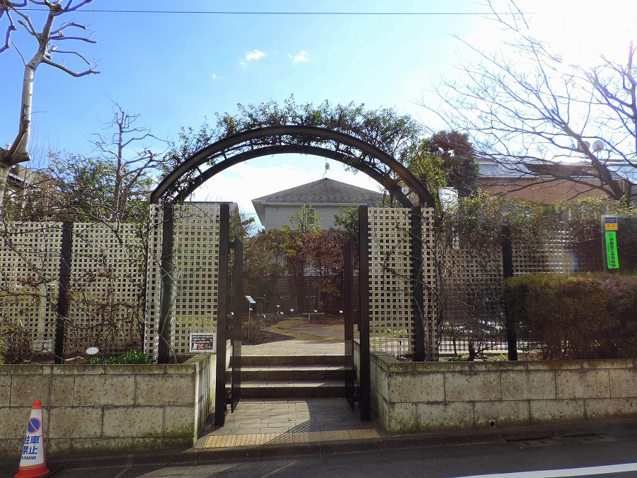 冬枯れのねむの木の庭_c0187781_01402820.jpg