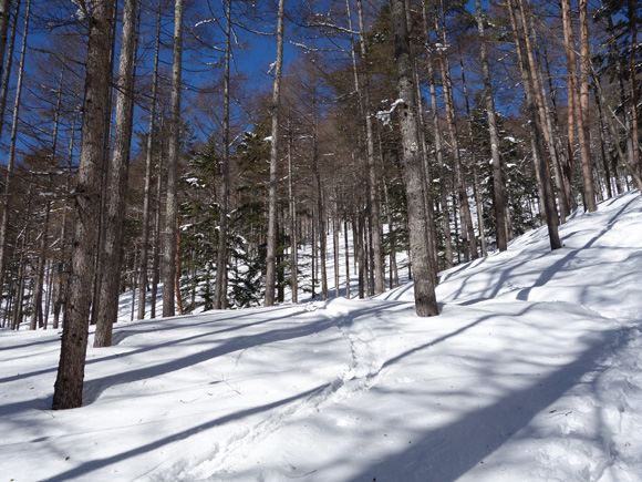 e0298884_20334030.jpg