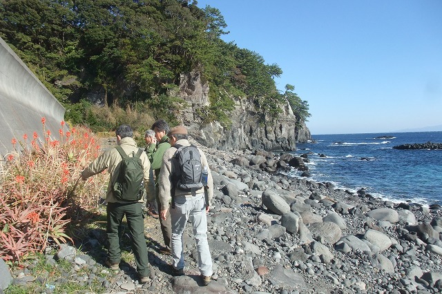 e0070891_2285420.jpg