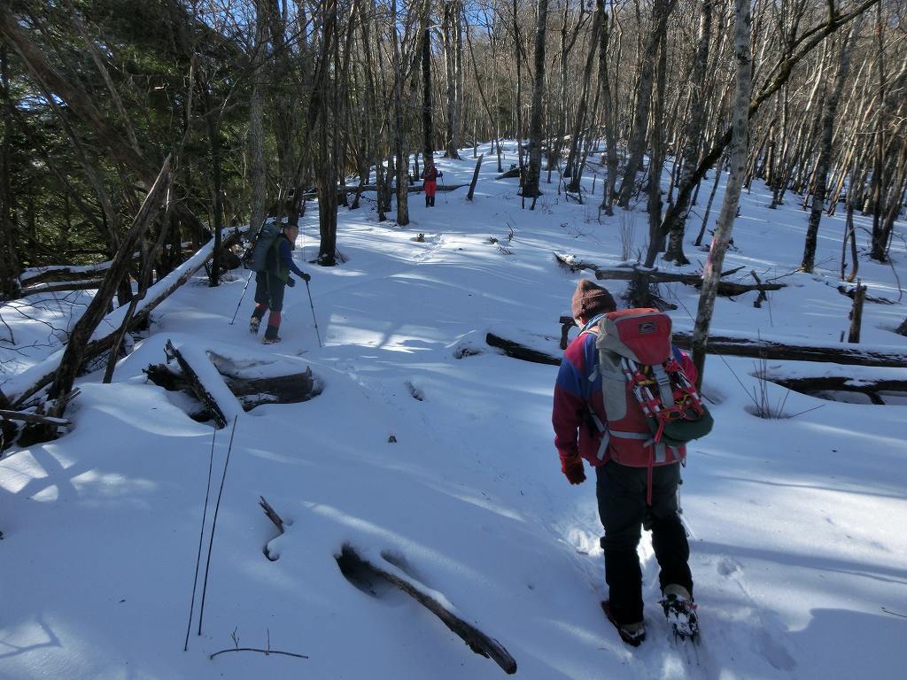 三嶺　雪の壁に阻まれ　勇気ある撤退_b0124306_21512248.jpg