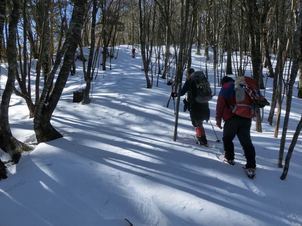 三嶺　雪の壁に阻まれ　勇気ある撤退_b0124306_21560880.jpg